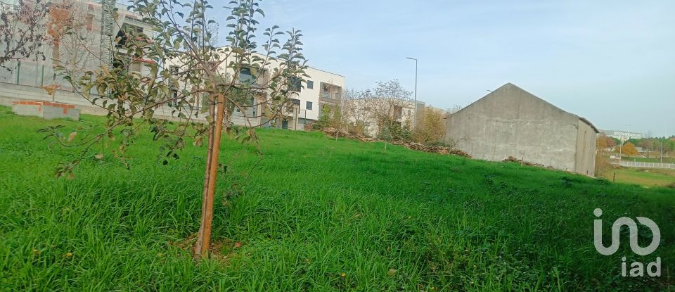 Terreno para construção em Mogadouro, Valverde, Vale de Porco e Vilar de Rei de 750 m²