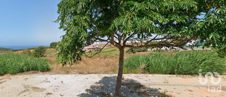 Terreno em Lourinhã e Atalaia de 3 960 m²