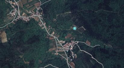 Terreno em Vila Seca e Bem da Fé de 13 000 m²