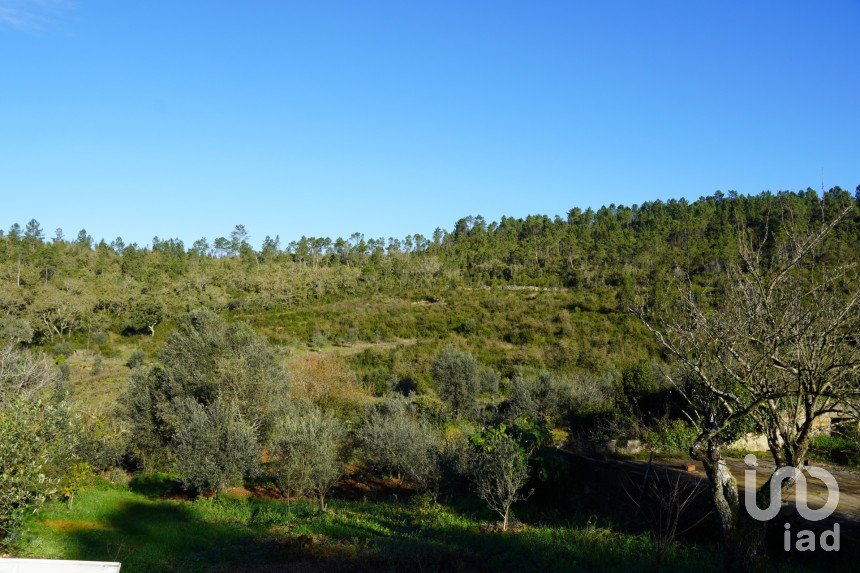 Terreno em Vila Seca e Bem da Fé de 13 000 m²