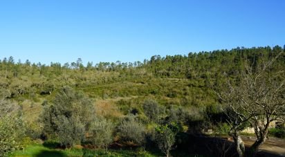 Terreno em Vila Seca e Bem da Fé de 13 000 m²