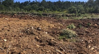 Terreno em Vila Seca e Bem da Fé de 13 000 m²