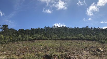 Terreno em Vila Seca e Bem da Fé de 13 000 m²