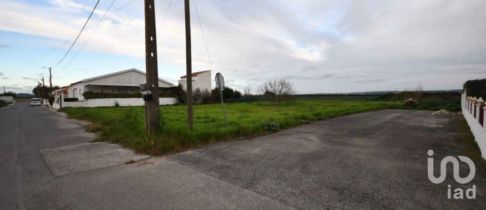 Terrain à Azinhaga de 375 m²