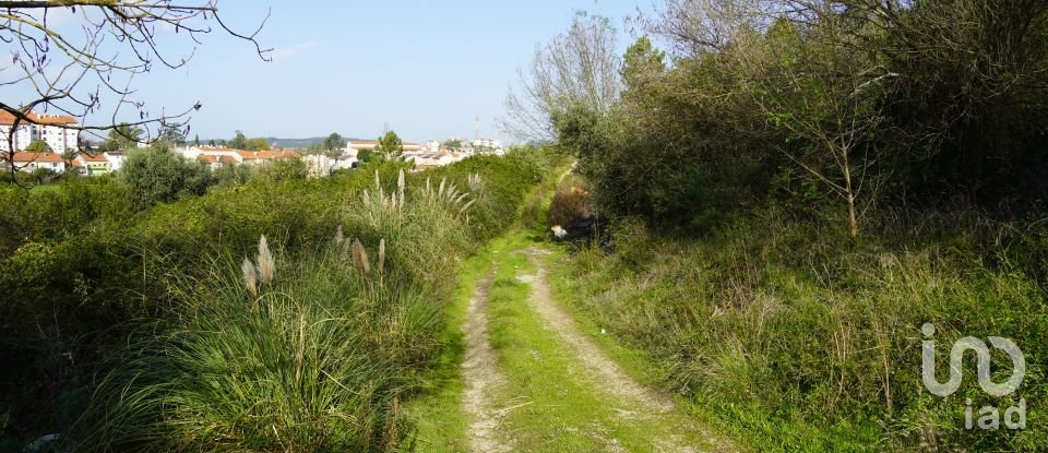 Terreno para construção em Eiras E São Paulo De Frades de 15 300 m²