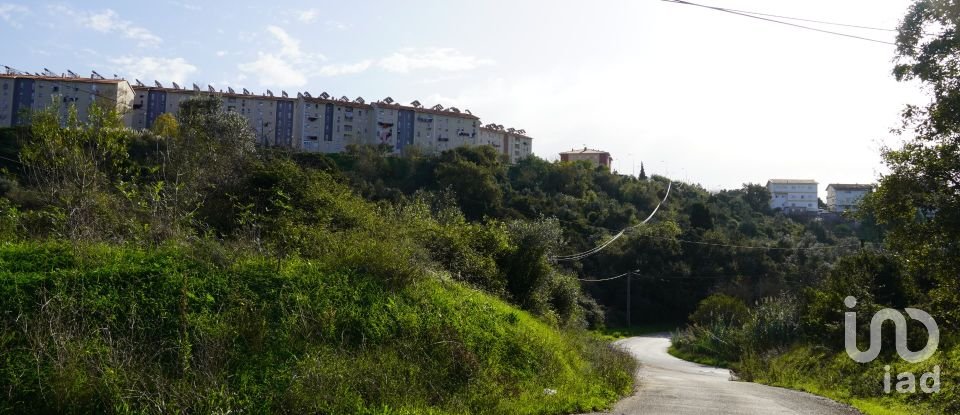 Terreno para construção em Eiras E São Paulo De Frades de 15 300 m²