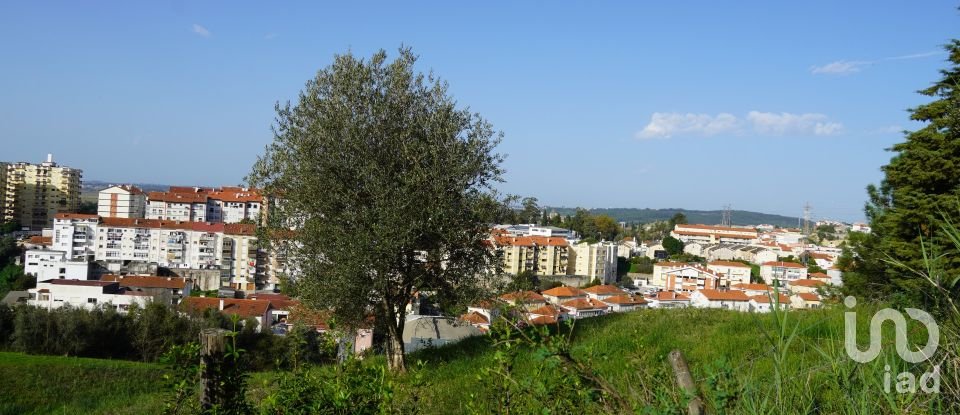 Terreno para construção em Eiras E São Paulo De Frades de 15 300 m²