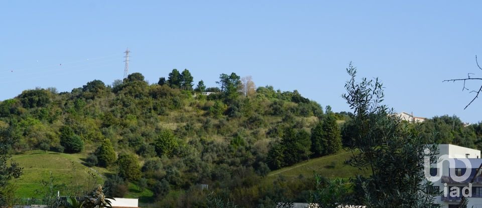 Terreno para construção em Eiras E São Paulo De Frades de 15 300 m²