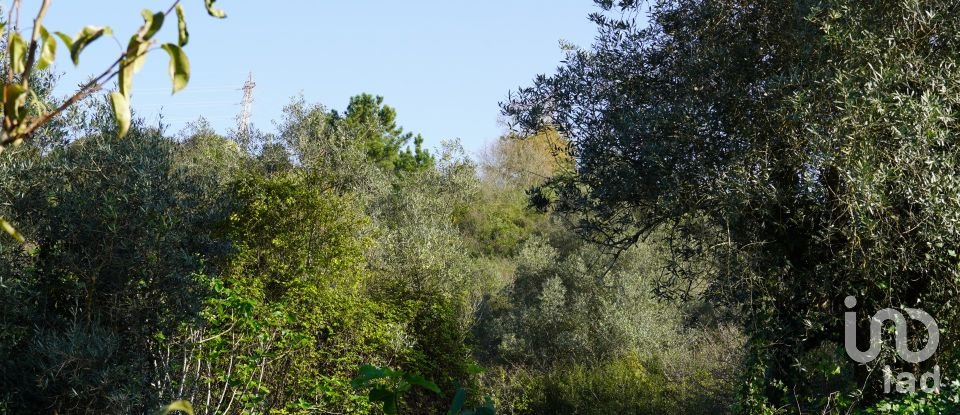 Terreno para construção em Eiras E São Paulo De Frades de 15 300 m²