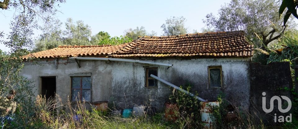 Terreno para construção em Eiras E São Paulo De Frades de 15 300 m²