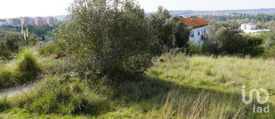 Terreno para construção em Eiras E São Paulo De Frades de 15 300 m²