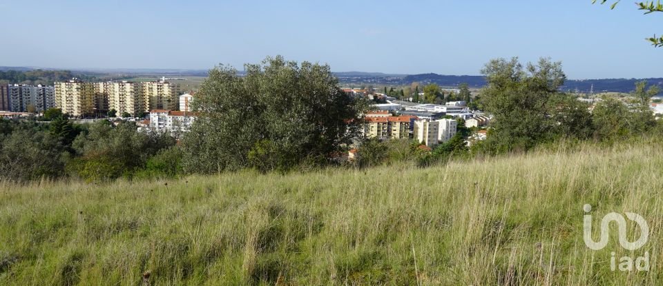 Terreno para construção em Eiras E São Paulo De Frades de 15 300 m²