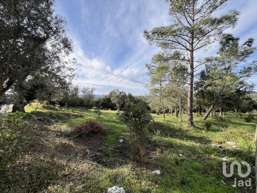 Terreno para construção em Ansião de 1 300 m²