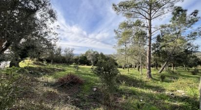 Terreno para construção em Ansião de 1 300 m²