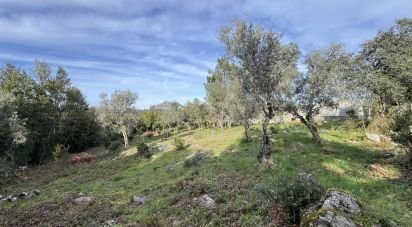 Terreno para construção em Ansião de 1 300 m²