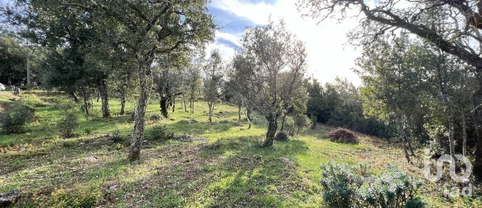 Terreno para construção em Ansião de 1 300 m²