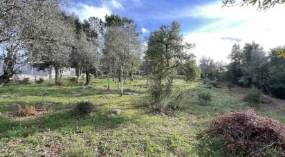 Terreno para construção em Ansião de 1 300 m²