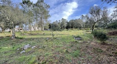 Terreno para construção em Ansião de 1 300 m²