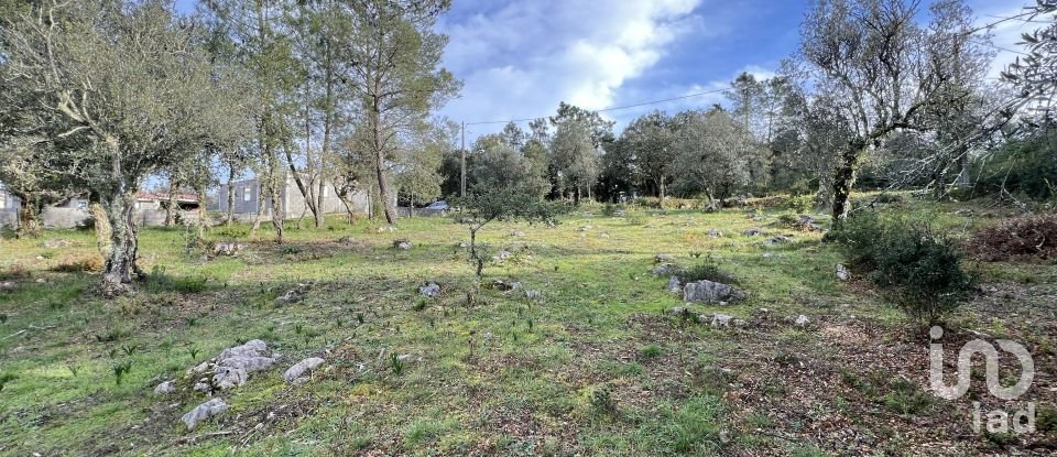 Terreno para construção em Ansião de 1 300 m²