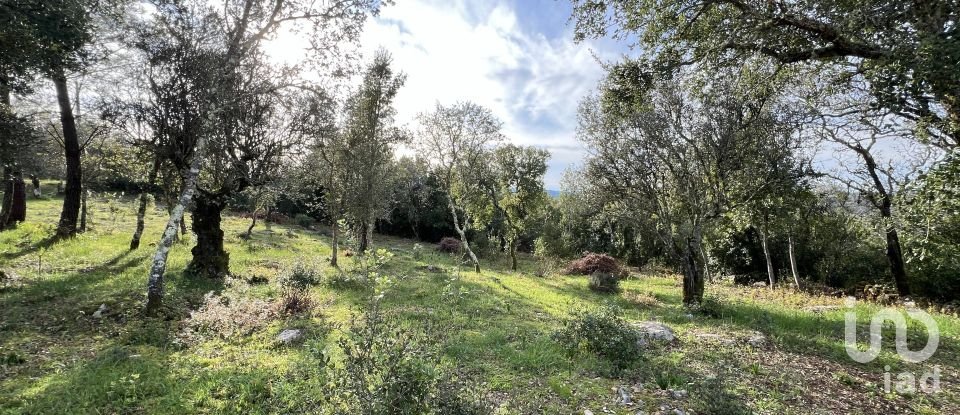 Terreno para construção em Ansião de 1 300 m²