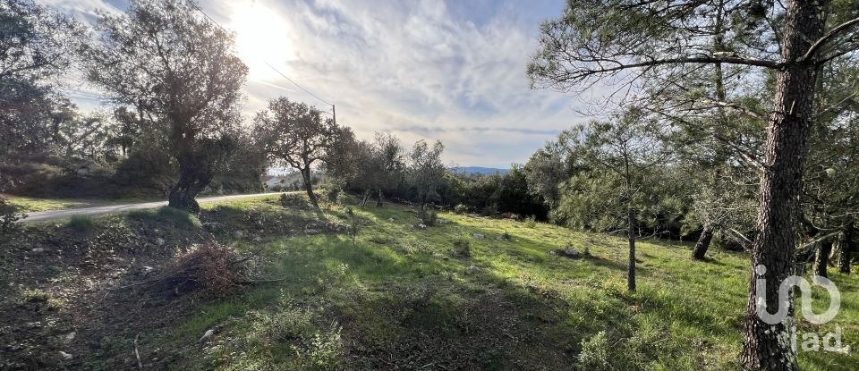 Terreno para construção em Ansião de 1 300 m²