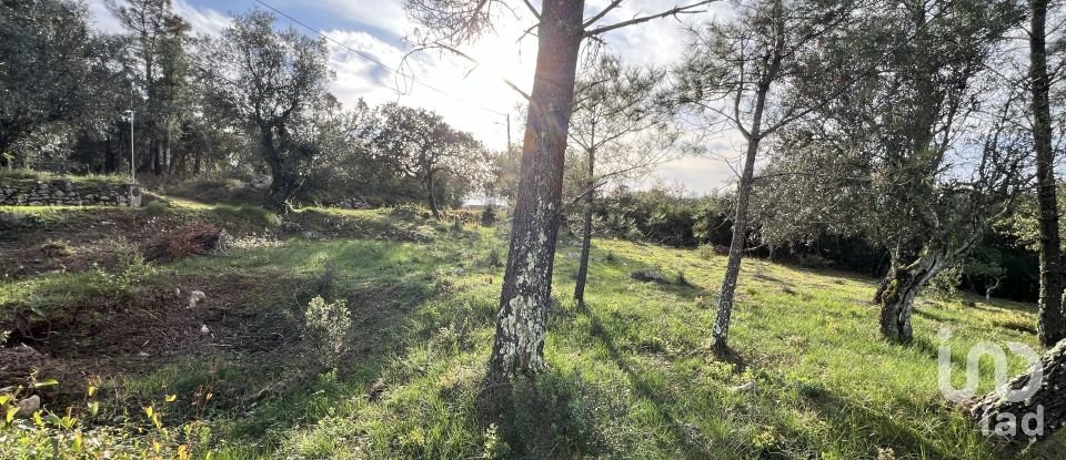 Terreno para construção em Ansião de 1 300 m²