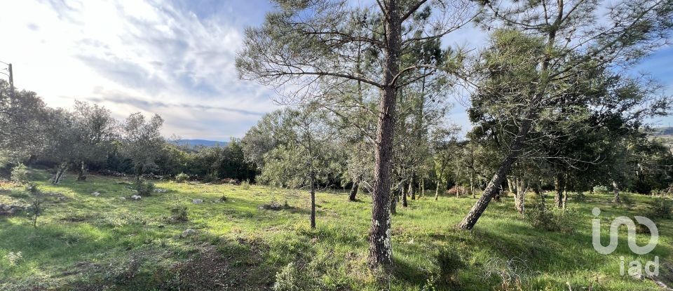 Terreno para construção em Ansião de 1 300 m²