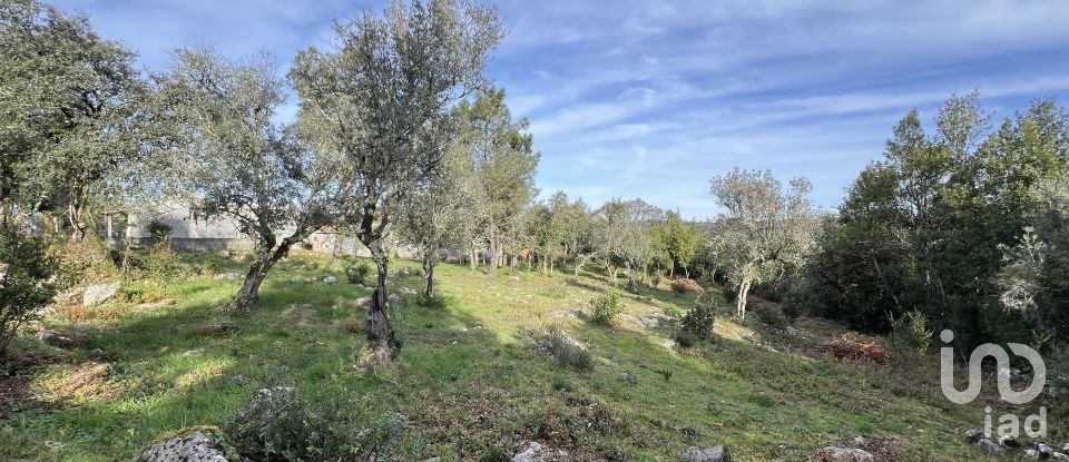 Terreno para construção em Ansião de 1 300 m²