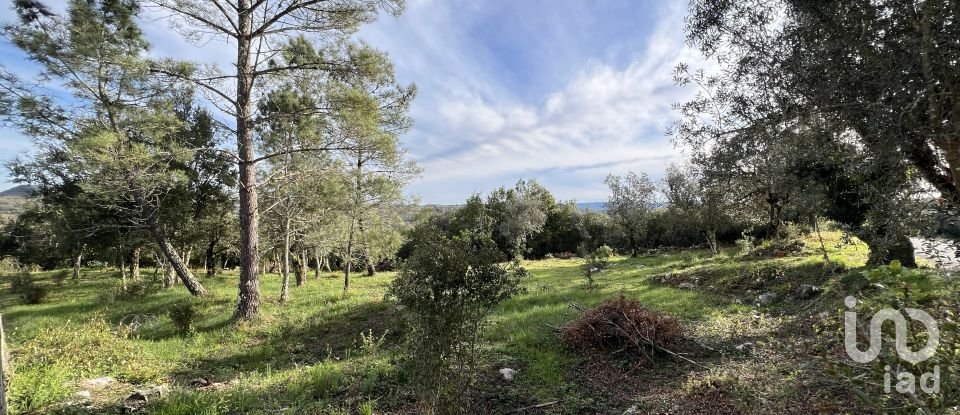 Terreno para construção em Ansião de 1 300 m²