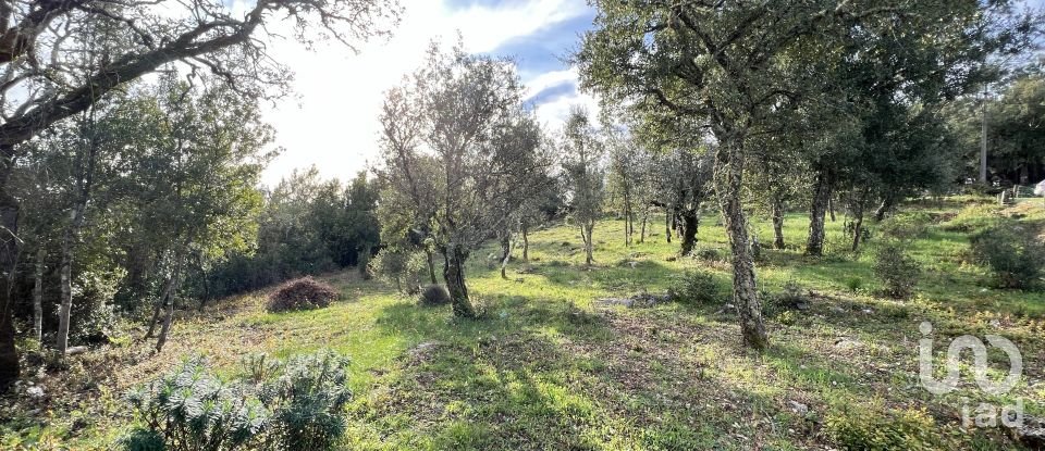 Terreno para construção em Ansião de 1 300 m²