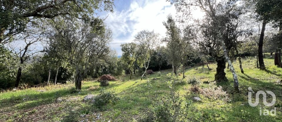 Terreno para construção em Ansião de 1 300 m²