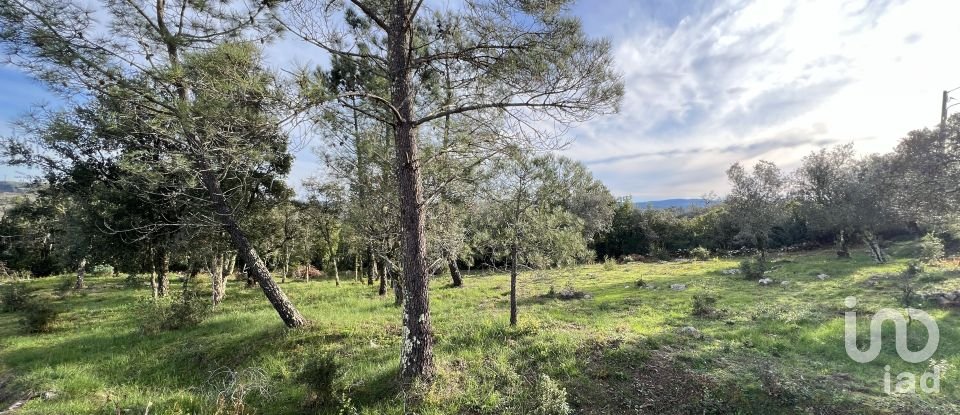 Terreno para construção em Ansião de 1 300 m²