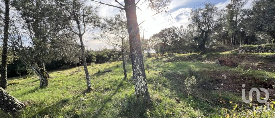 Terreno para construção em Ansião de 1 300 m²