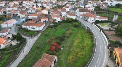 Casa / Villa T4 em Ervedosa do Douro de 335 m²