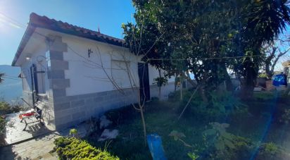 Casa / Villa T4 em Cousso de 160 m²