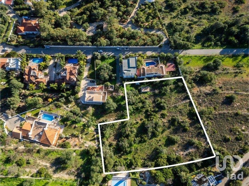 Terreno em Santa Bárbara de Nexe de 3 840 m²