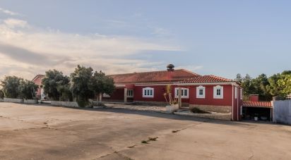 Farm T2 in Silveira of 926 m²