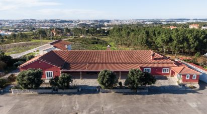 Farm T2 in Silveira of 926 m²