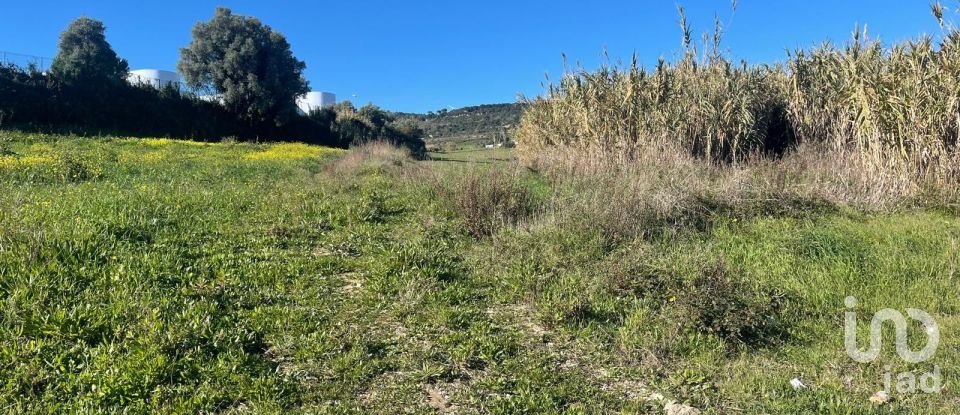 Terrain à Arruda dos Vinhos de 3 160 m²