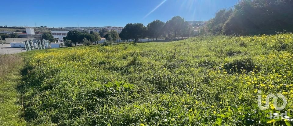 Terrain à Arruda dos Vinhos de 3 160 m²