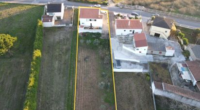 House T5 in Cadaval e Pêro Moniz of 280 m²