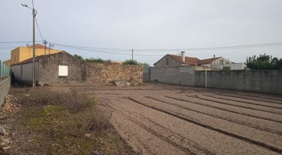 Land in Estela of 392 m²