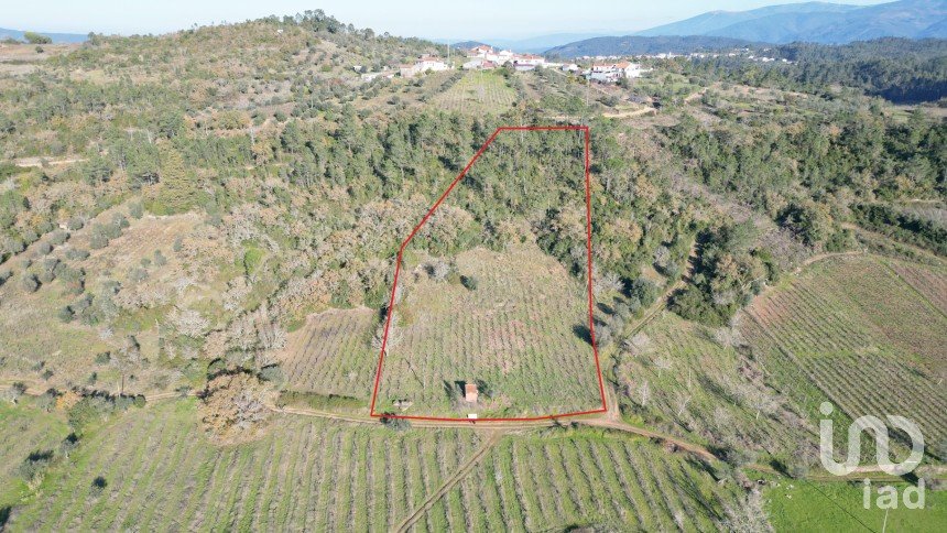 Terreno Agrícola em Podentes de 7 037 m²