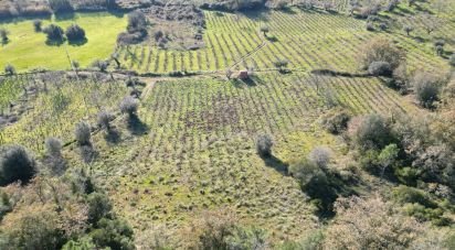 Terreno Agrícola em Podentes de 7 037 m²