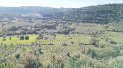 Terreno Agrícola em Podentes de 7 037 m²