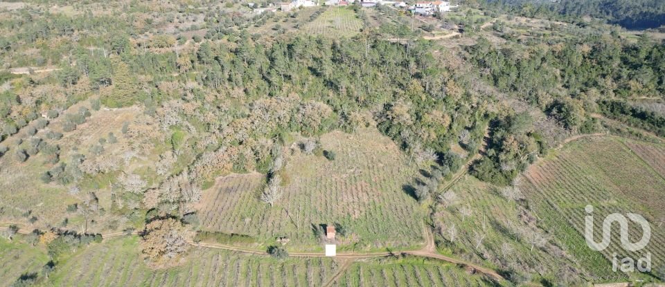 Terreno Agrícola em Podentes de 7 037 m²