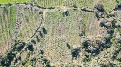 Terreno Agrícola em Podentes de 7 037 m²