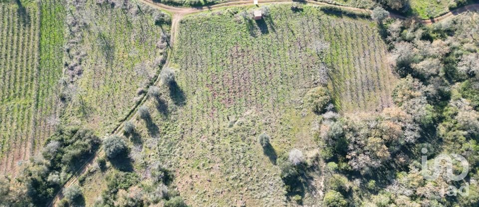 Terreno Agrícola em Podentes de 7 037 m²