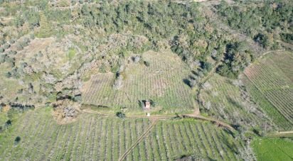 Terreno Agrícola em Podentes de 7 037 m²