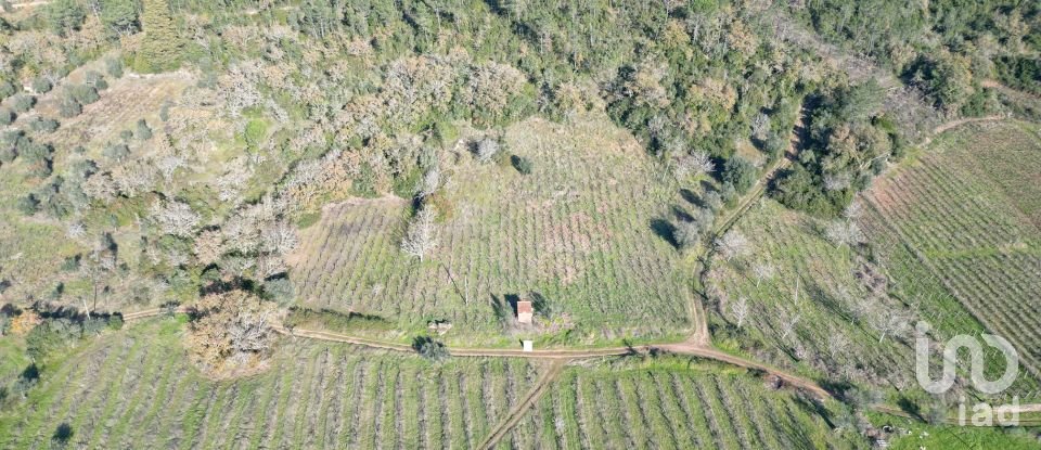 Terreno Agrícola em Podentes de 7 037 m²